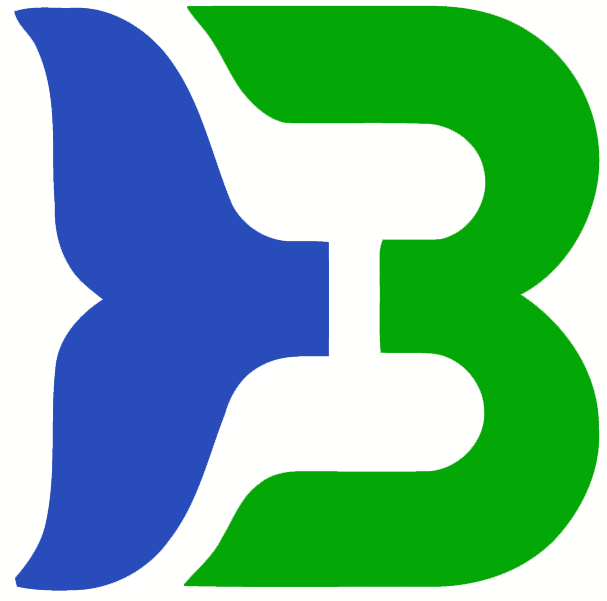 Binghamton Whalers 1980 81-1989 90 Primary Logo iron on transfers for T-shirts